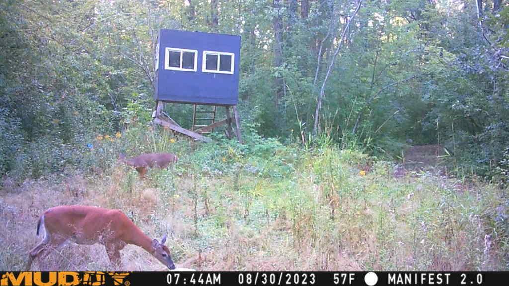34654 State Highway 47