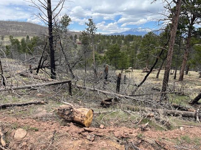 Lot 513 Leslie Loop