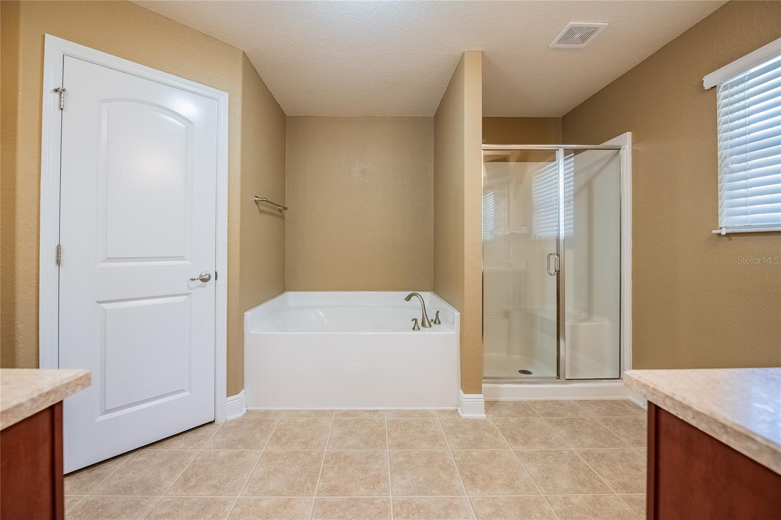 2933 Blackwater Oaks Drive