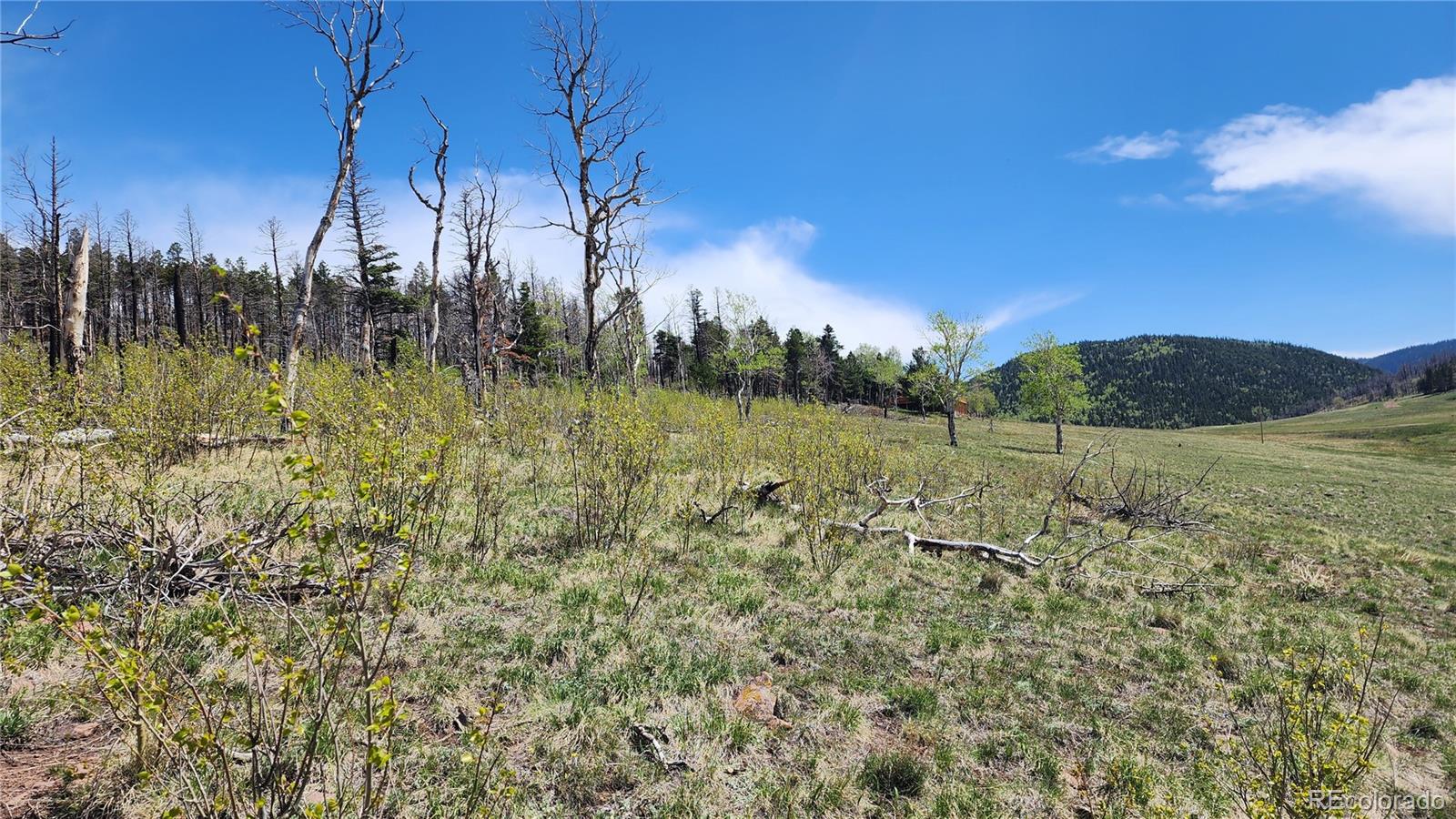 2334 Wohlstetter Loop