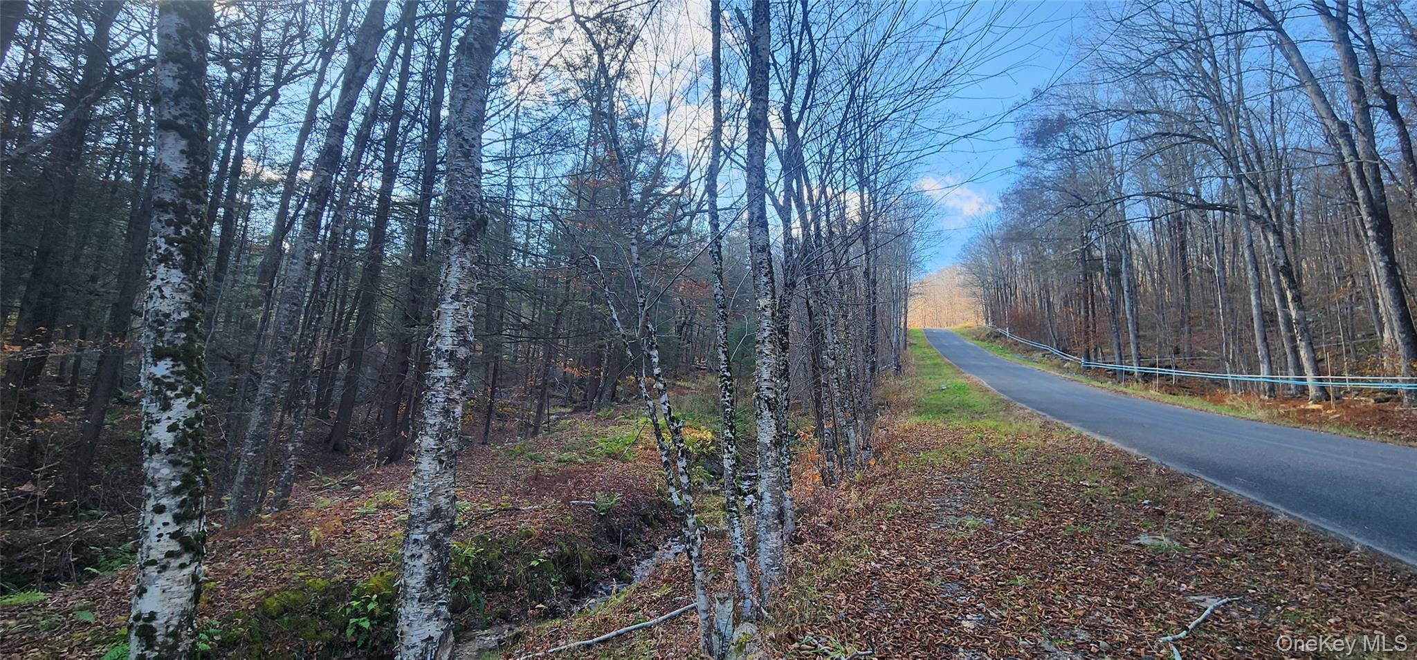 00 Hunter Road