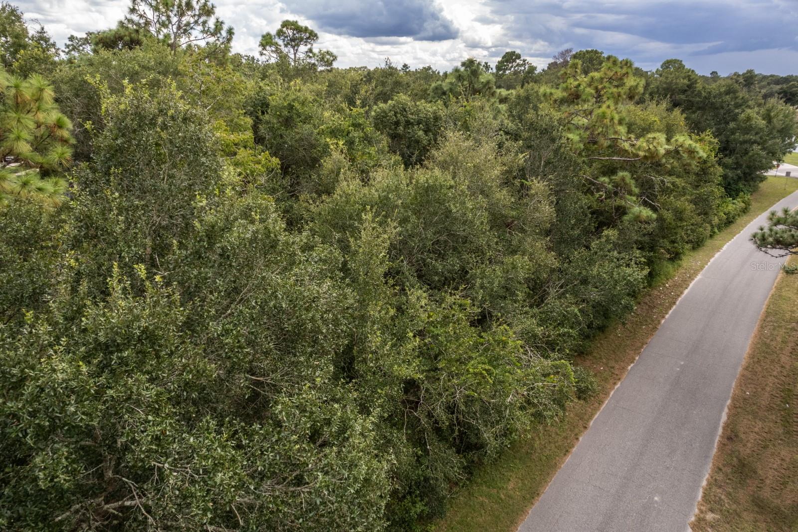 Beautiful property with over 1/2 acre site for your custom home in Mount Plymouth/Sorrento. Originally comprised of (4) 50 ft wide lots that have been collapsed into one, however, it could possibly be split in half. This is an up and coming area of existing country estates as well as new homes being built. NO HOA and bring your own builder! These larger parcels are becoming a rare find, so rush to view this opportunity before it is gone!