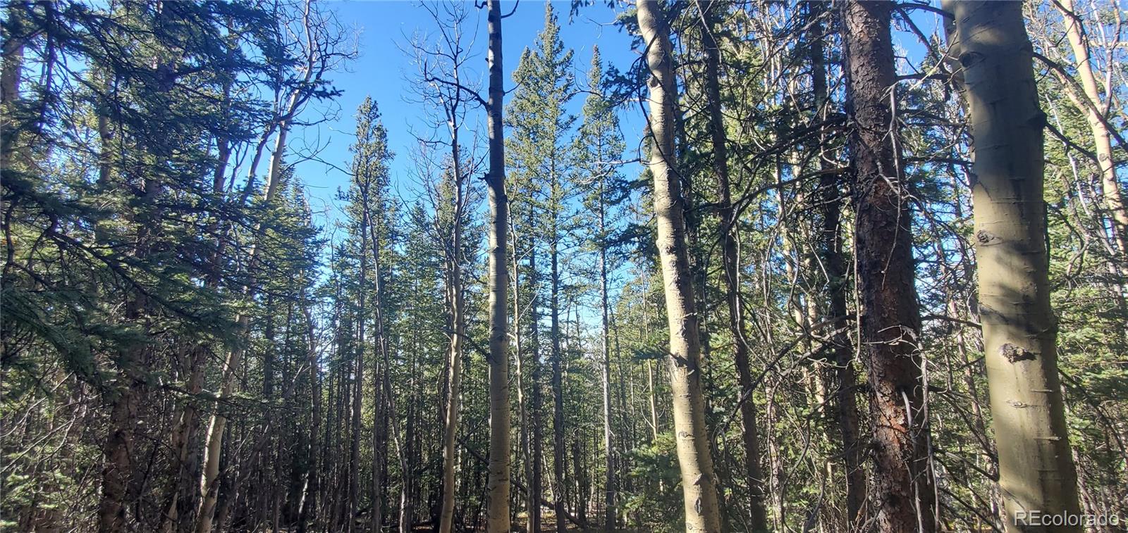 Lot 6581 Ackerman Road