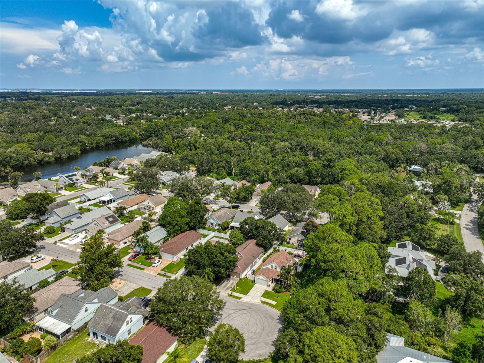 3611 Chinaberry Lane