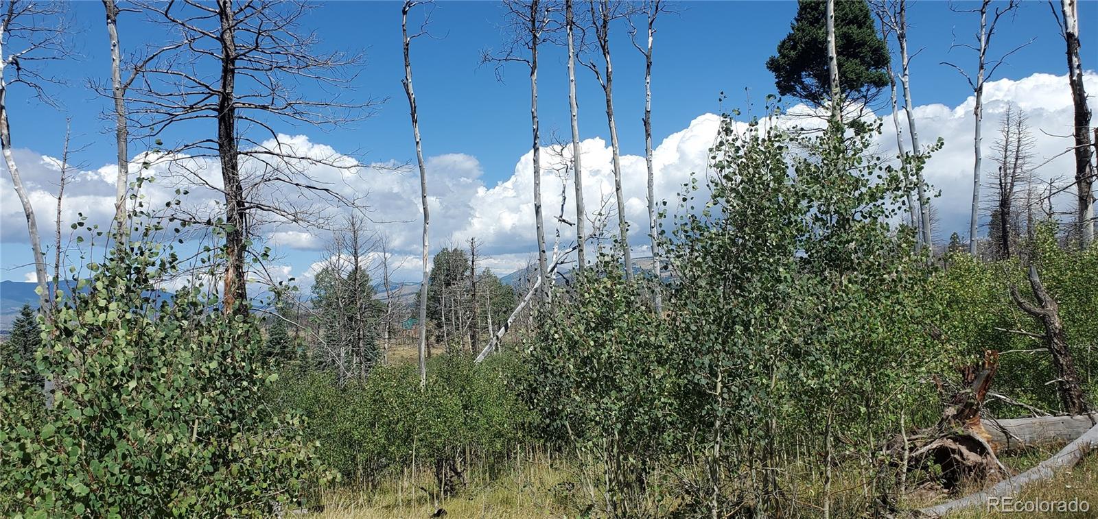 Lot 1064 Reed Lane