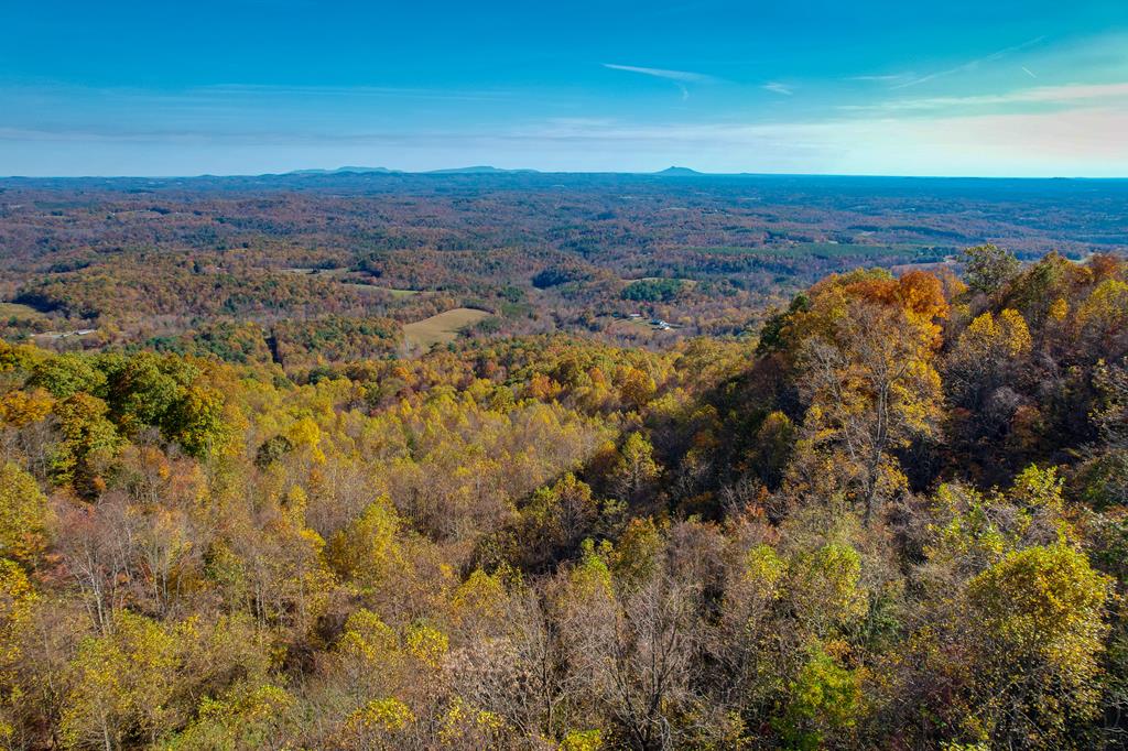 Don't miss this beautiful 6.447-acre mountain property located just off the scenic Blue Ridge Parkway! This ready-to-build lot features a septic system already in place, driveway cut in, and breathtaking long-range Piedmont views. Enjoy privacy, peaceful surroundings, and the cool mountain air — all while being minutes from local attractions and the Parkway's natural beauty.  Whether you're dreaming of a weekend getaway, vacation cabin, or permanent mountain retreat, this property offers exceptional value and stunning views at a price below tax assessment.