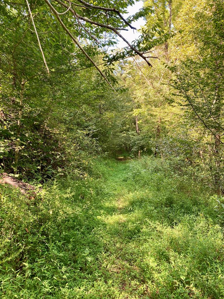 392 Possum Hollow Rd