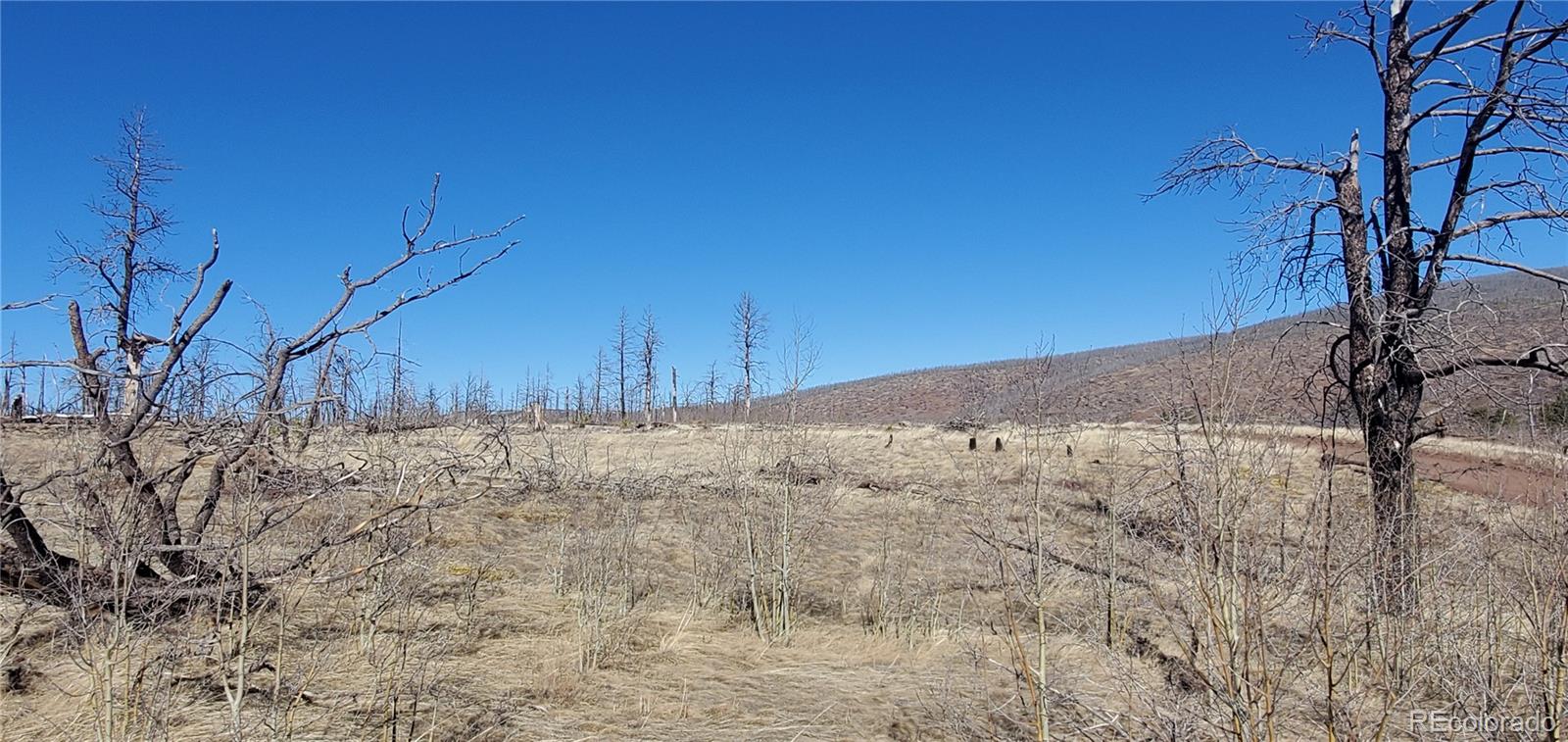 Lot 1566 Cary Lane