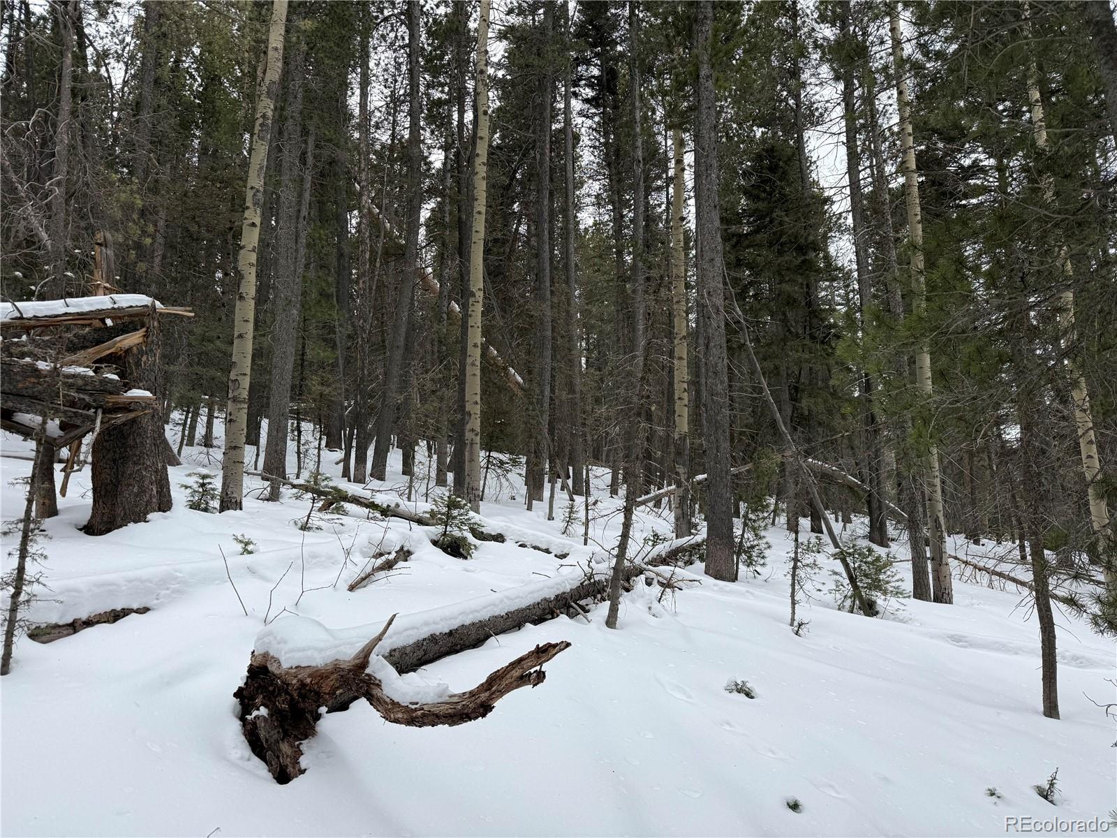 Lot 2806 Moir Drive