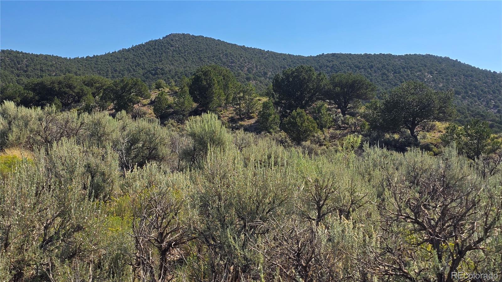 Lot 4296 Renfield Road