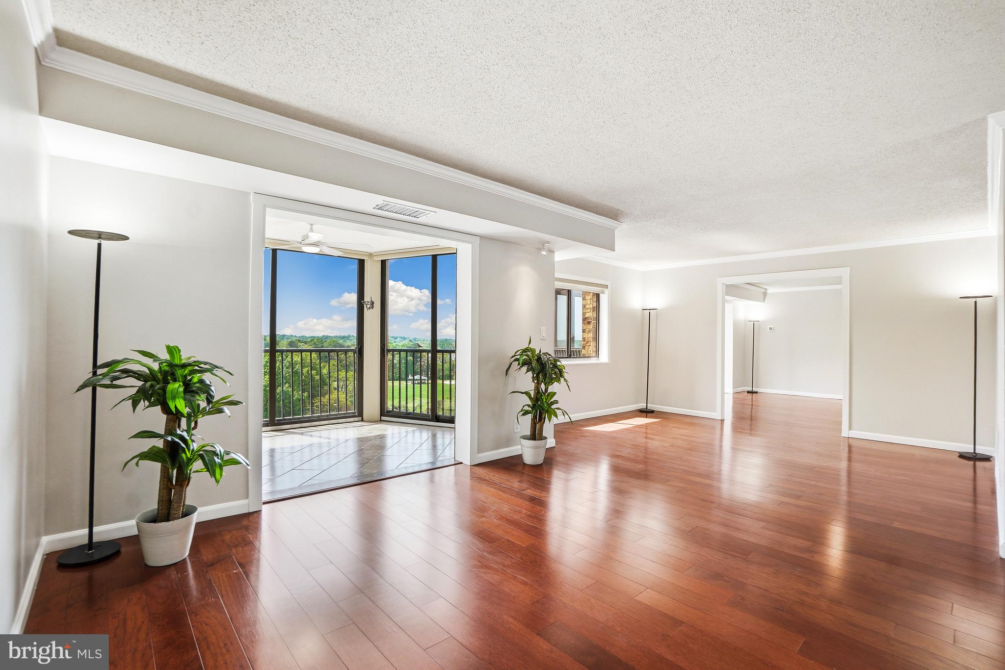 5901 Mount Eagle Drive 1005