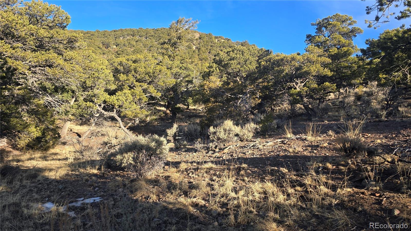 Lot 4582 Laidlaw Road