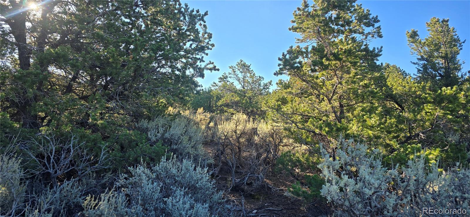 Lot 1361 Dunn Road