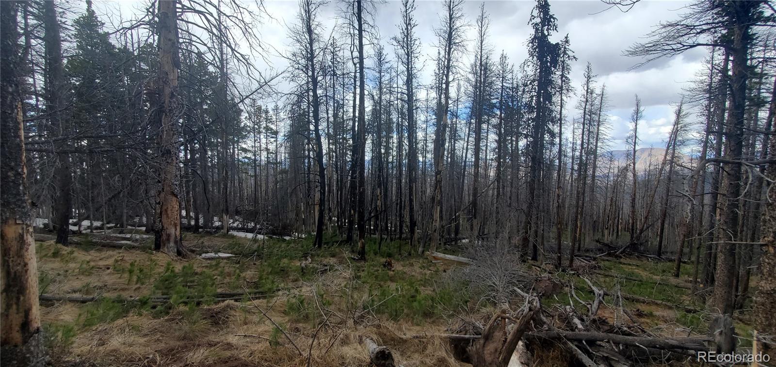Lot 2738 Newman Place