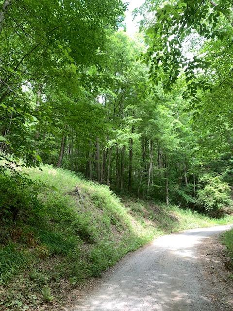 Elijay Road