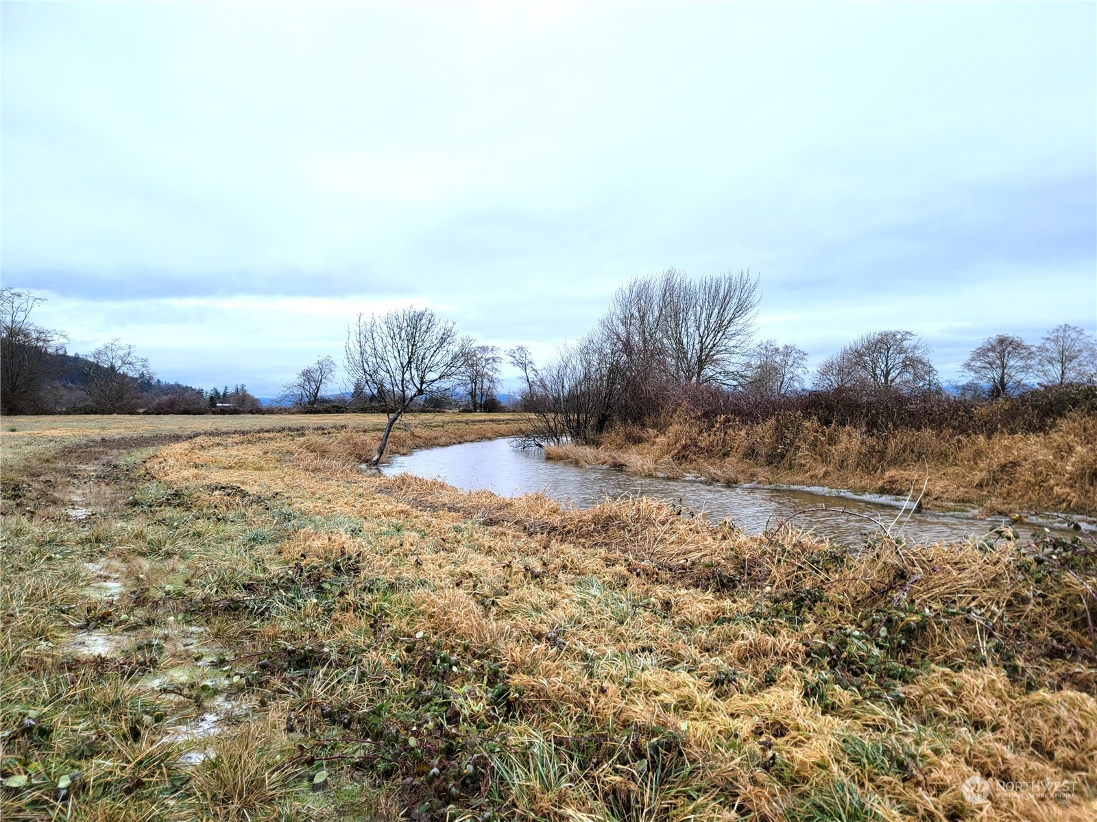 Canal front, flat pasture land surrounded by territorial views.