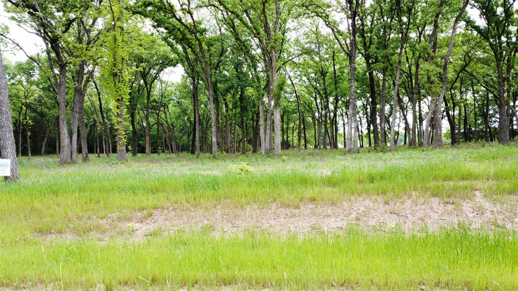 1210 Buck Trail