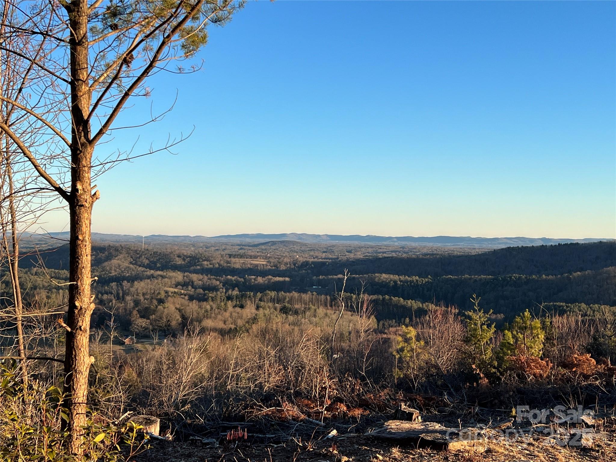 TR 14 Blackberry Ridge