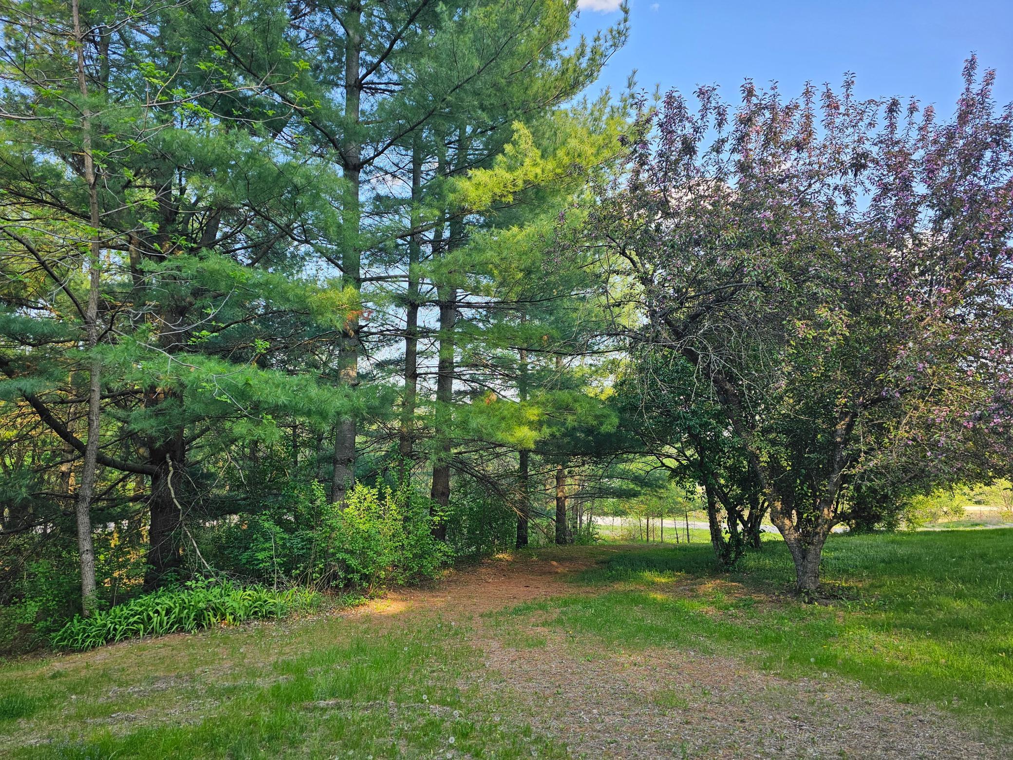 146 Green Spring Road