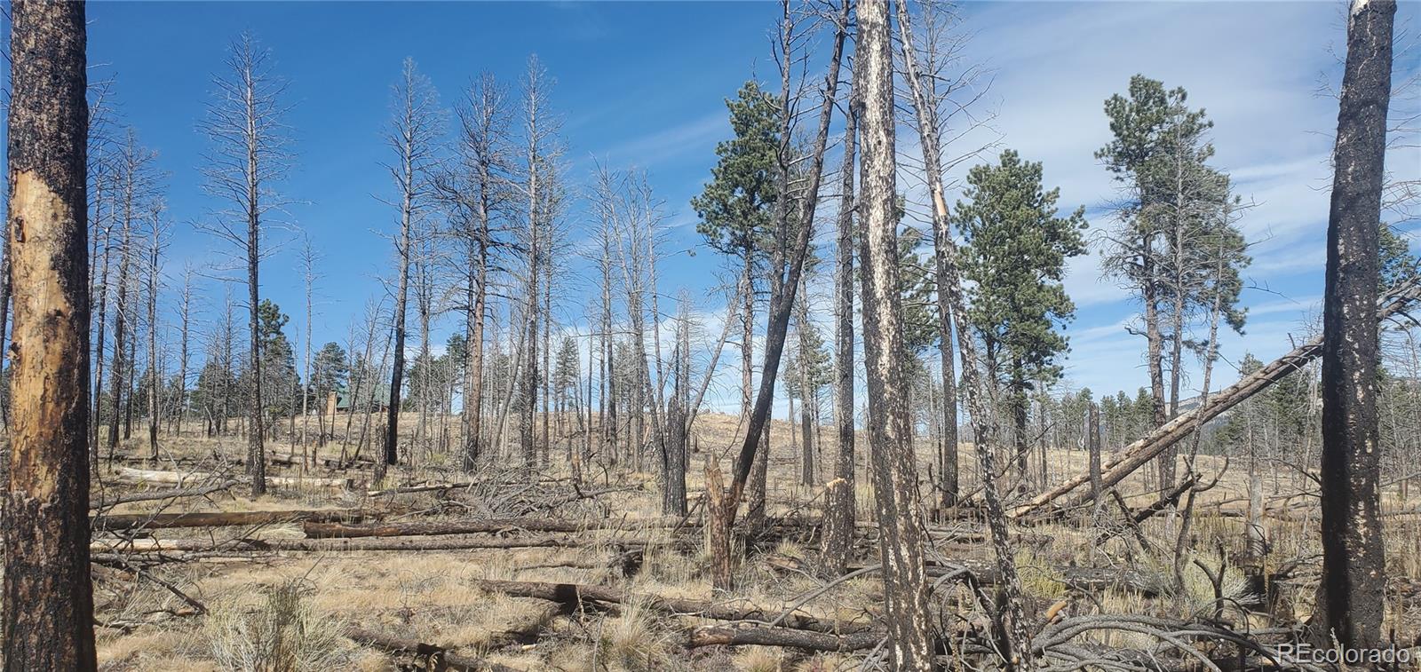 Lot 585 Leslie Loop