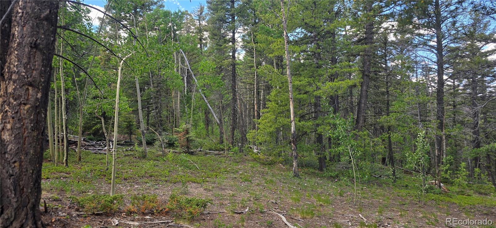 Lot 5778 Balleroy Road