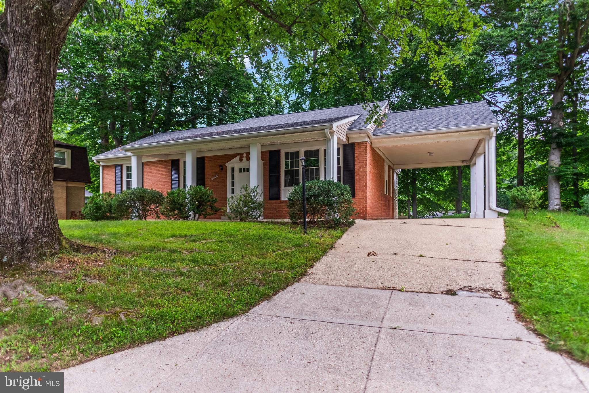 12204 Kinloch Court