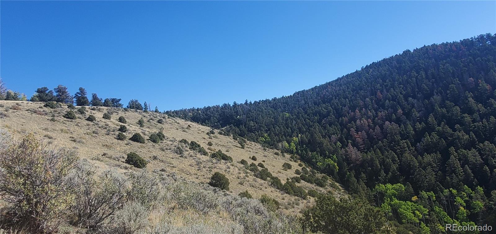 Lot 5820 Covington Road