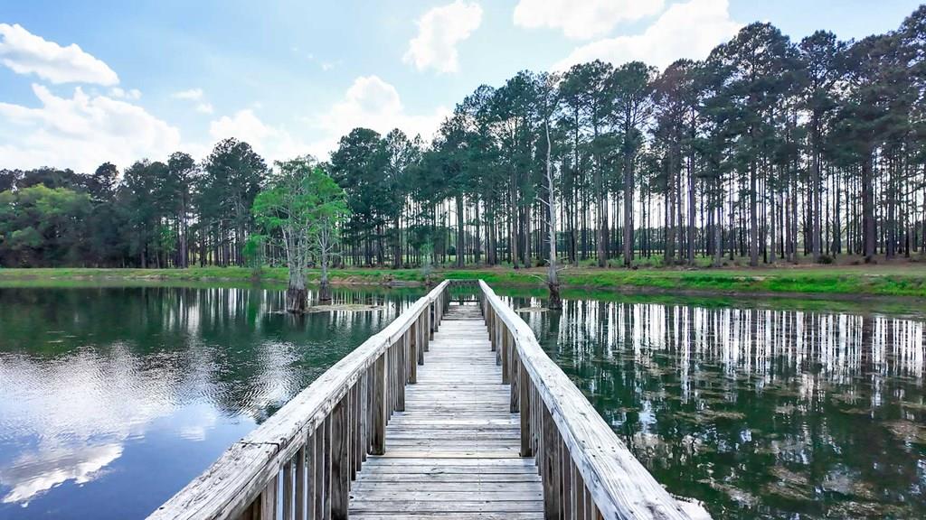 Welcome to the Bozeman Farm, a South Georgia waterfront retreat where mornings begin on the water and evenings end by the fire. Located in Thomas County, Georgia, this 72.88-acre estate is designed for the way you want to live. With three stocked, established lakes, planted pines, and room to hunt, fish, garden, and roam, this property offers the full outdoor lifestyle with privacy and flexibility.  The well maintained main home features a thoughtfully designed single-level, split floor plan with 5 bedrooms, 5 baths, and 4 fireplaces. A very large den/family room with a fireplace serves as a central gathering space, while the kitchen offers abundant pantry storage and newer stainless appliances. The primary suite is a secluded sanctuary with its own fireplace, two full bathrooms, and two walk-in closets. A spacious secondary ensuite, formerly used as a dedicated study, has a fireplace and adds flexibility to the layout. The light-filled, heated and cooled sunroom, known as the “Terrace,” also features a fireplace and provides a comfortable space to enjoy year-round. A heated and cooled 2-car garage adds convenience and functionality.  This property is built for organization and ease, offering exceptional storage throughout. A large workshop/garage behind the home accommodates multiple vehicles and includes an upstairs space ideal for hobbies or additional storage. Additional outbuildings, including a pole barn and two spacious shops with power and roll-up doors, provide ample room for equipment while keeping everything neatly tucked away. Everything has its place, making this a truly turnkey property.  Two guest homes, both set along the lake, offer comfortable accommodations for family or guests. One features a studio-style layout with an open living/sleeping space and bathroom, while the other includes a bedroom, bathroom, living area, kitchen, and screened porch.  With two wells, generous road frontage, and potential for subdividing, the property offers both immediate enjoyment and long-term value. A rare opportunity to own a property that truly has it all.