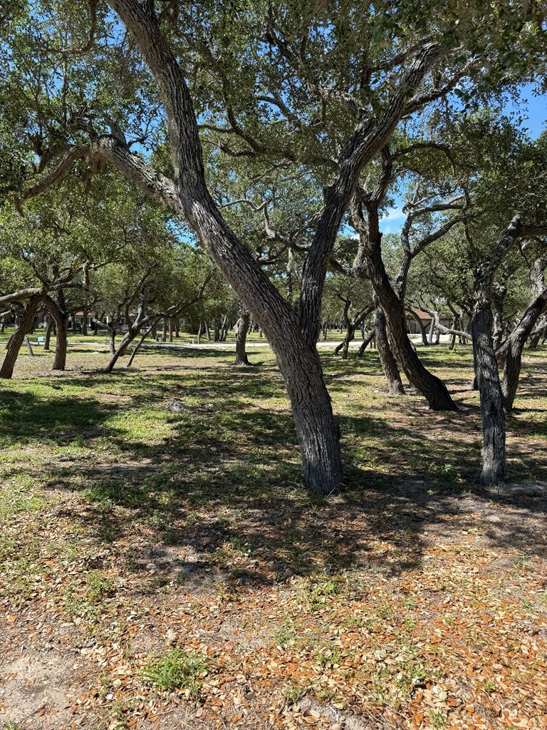 2306 Royal Oaks Trail