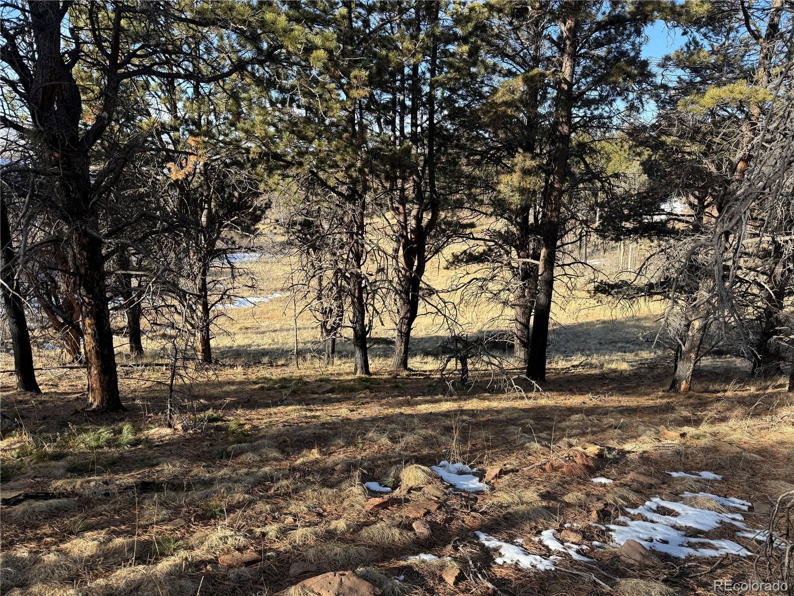 Lot 356 Spangle Drive