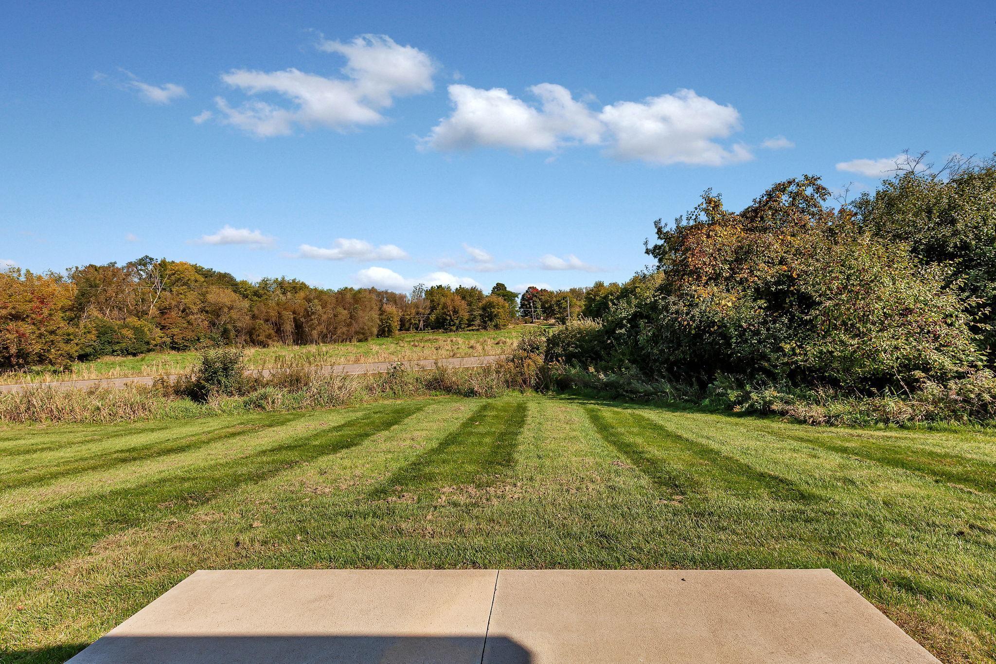 203 Appaloosa Court