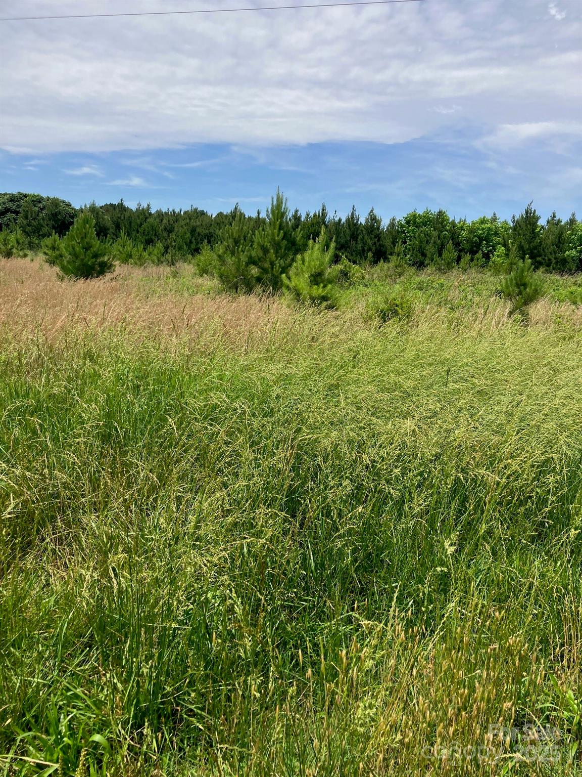 22.956 Acres carved out of parcel 556404510551 located on Renee Ford Rd. in Stanfield and backs up to Garmin Mills Development. A great location for your residential needs, and or, a multi-family compound. In the process of Annexing into the city of Stanfield with Zoning as RA 1.  Stanfield water available. Has established Timber Farm. Survey is available.