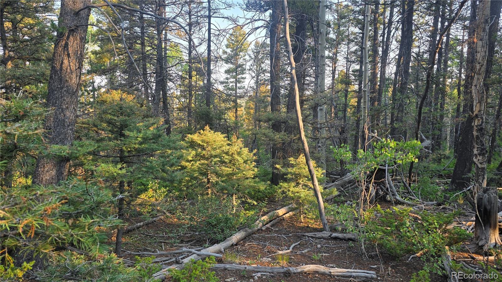 Lot 5768 Clawson Road