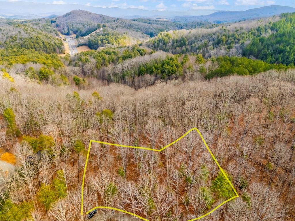 This property with a gentle slope leading to a knoll, makes it a prime location for constructing your dream mountain home or vacation retreat. Convenient access from a state-maintained road, situated just beyond Fields of the Wood. The property is a short distance from boat ramps at both Lake Hiwassee and Lake Appalachia, and is in close proximity to the US Forest Service and Hiwassee Dam. This lot offers a distinctive opportunity for development due to its isolated location, well-kept road access, and lack of restrictions.