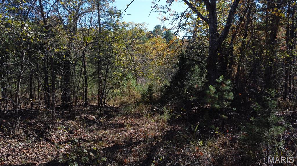 10256 Christina Trail