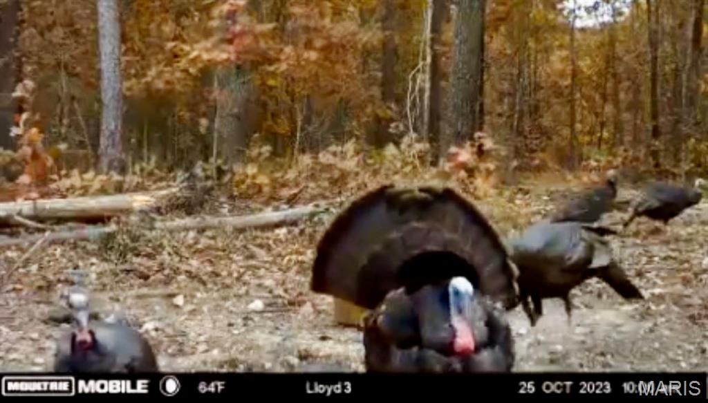 382 Furnace Creek Road