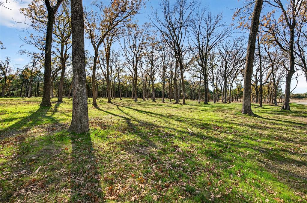 Lot 15 Buck Trail