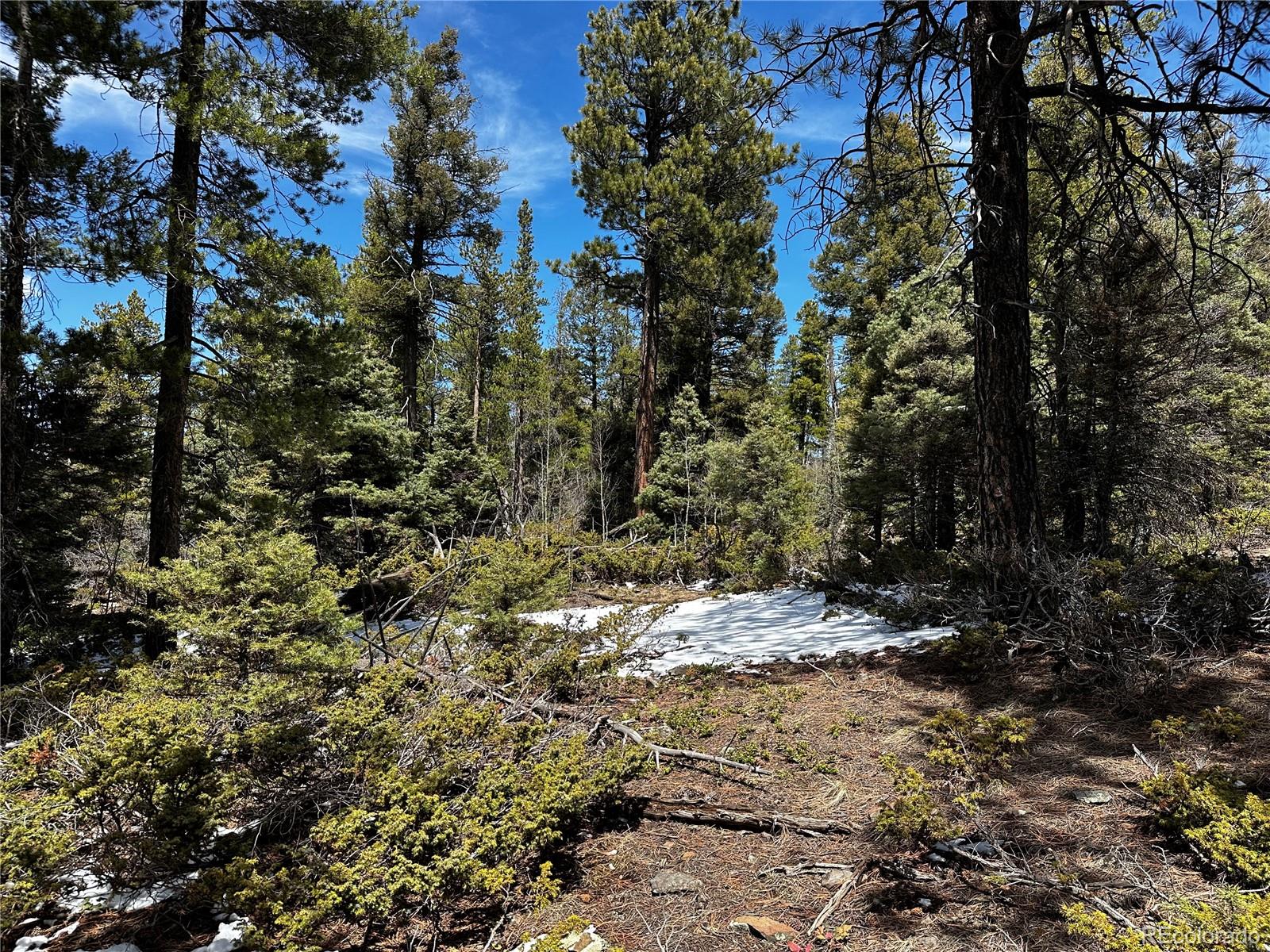 Lot 174 Ferris Place