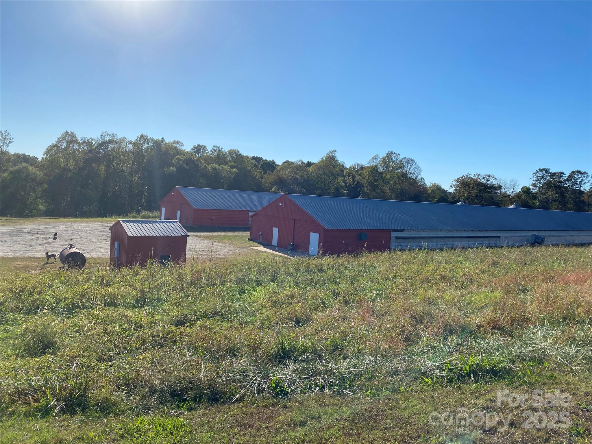 A great opportunity for anyone wanting to buy a poultry farm, already operational. J D Covington Poultry Farm is an established two house breeder farm located in Rutherford County, NC The farm currently produces for Case Farms. Barns and approx 19.5 acres have numerous possibilities. Creek runs with property line on back side . barn and land 18.6 acres . Approx 1 acre with 1800 sq ft warehouse/office included. The poultry houses are 42X435 and were put into production in 2011. These houses have Cumberland nests with wood slats, Cumberland chain female feeders, Cumberland Male Feeders, Lubing Drinkers, Cumberland conveyer and egg tables. Egg room and large work room in each barn. The farm has 3 working wells on the property. A diesel generator with building. A creek runs along the property line at back part of property.   Plenty of beautiful land surrounding the barns and building. Poultry farms are bio-secure facilities. Absolutely no visits to the farm without an appointment.