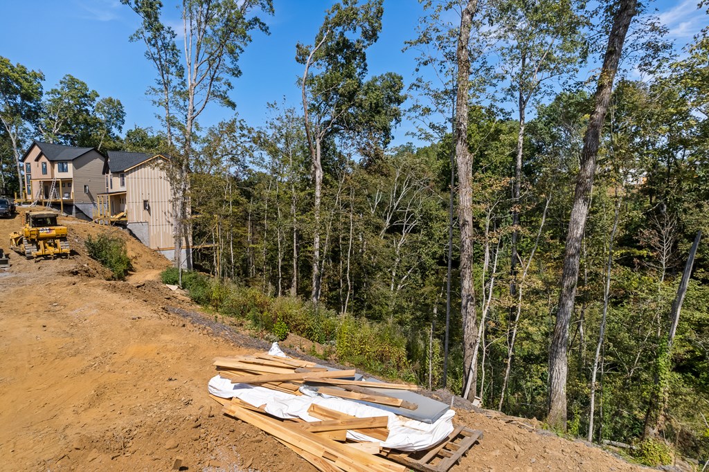 Lot 145 Reedmont Way