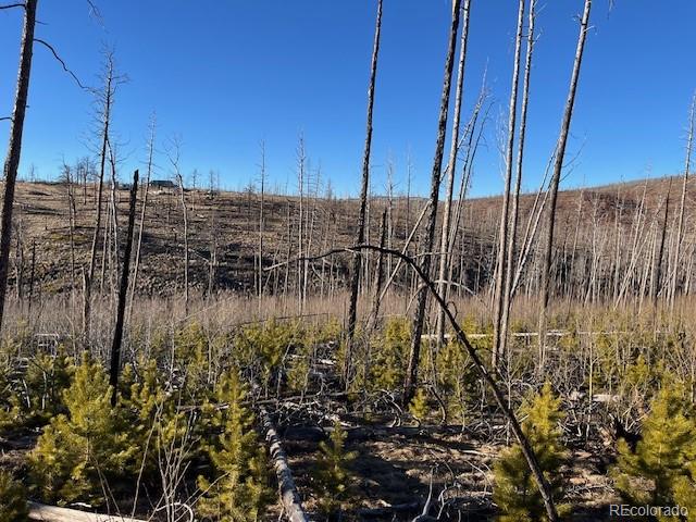 Lot 1502 Vonheyl Lane