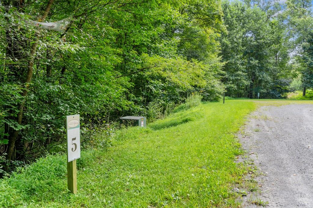 Imagine waking up to majestic sunrises with Blue Ridge Parkway views out your windows! This property in Patrick County presents a unique opportunity to embrace mountain living at its finest. From elevated vantage points, savor spectacular, unobstructed views, offering a truly iconic backdrop for your future home. The land itself is a natural wonderland, primarily wooded for ultimate privacy and a sense of seclusion. A delightful creek flows in the distance providing soothing sounds and a picturesque feature. Essential infrastructure is already handled, with electric in place, simplifying your building process. Whether you envision a full-time residence, a weekend escape, or a nature lover's paradise, this extraordinary property provides the perfect foundation. Come see it today!