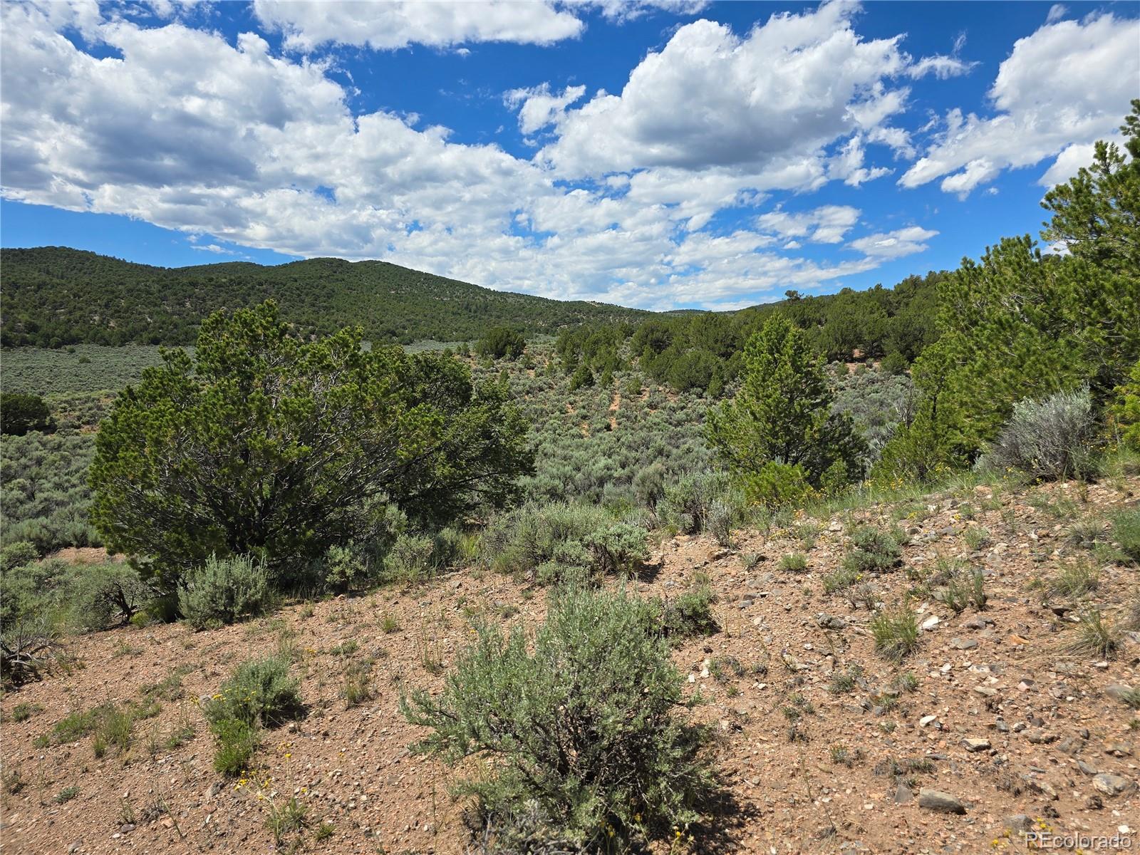 7572 Dashiell Road