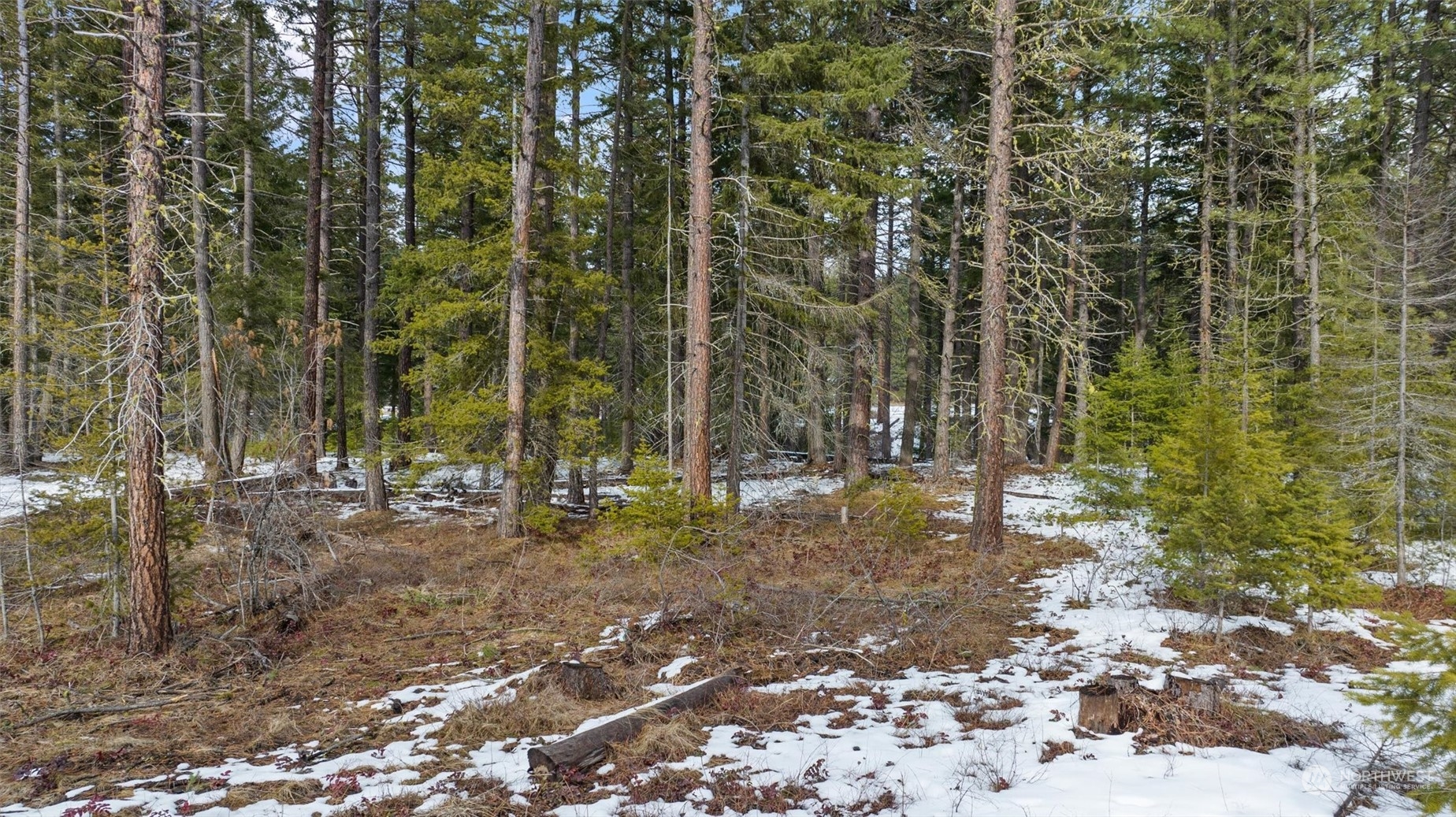 58 Kokanee Loop