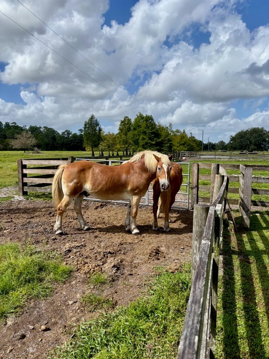 1126 & 1144 County Road 665