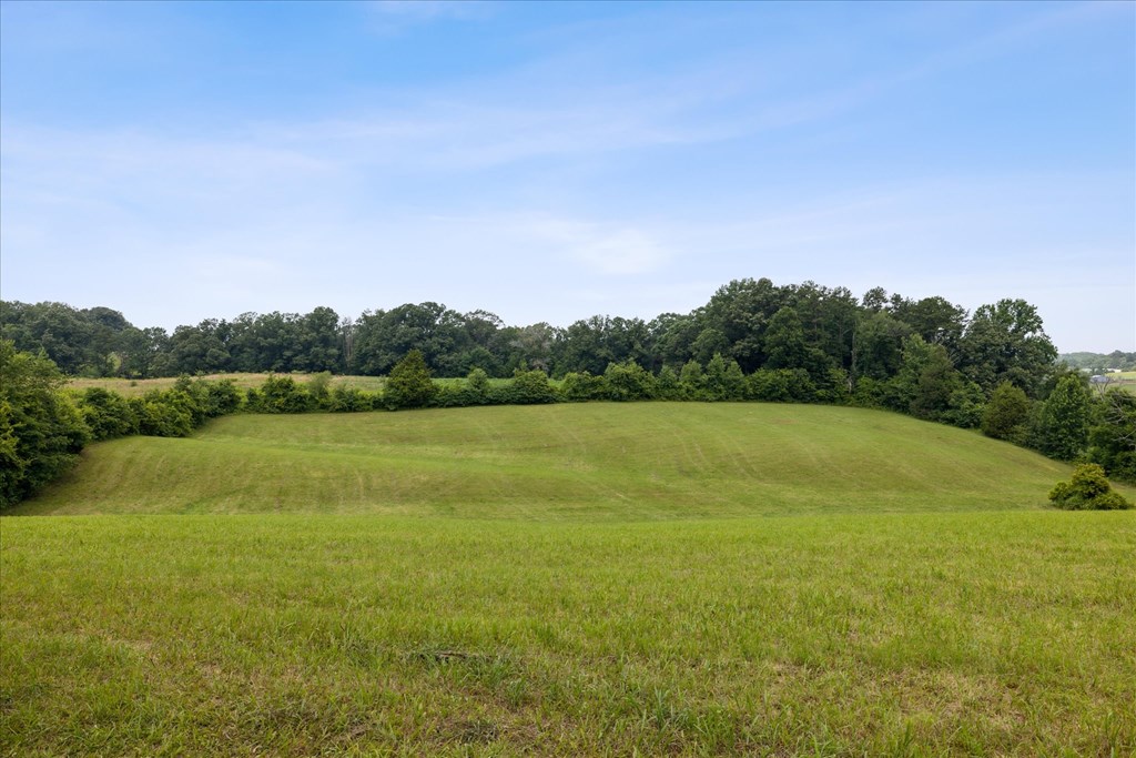 377 Thomas Loop Road
