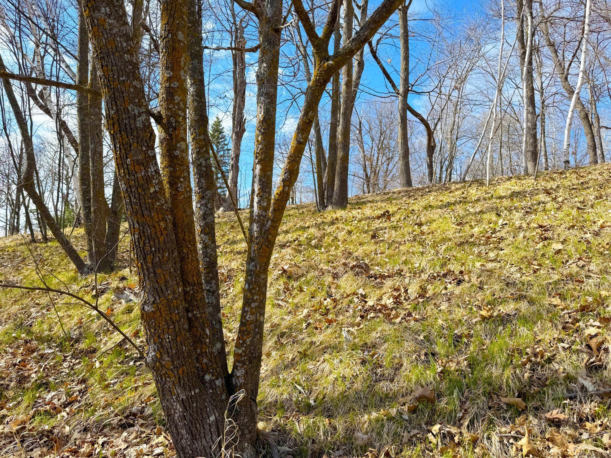 27XXX Greenwood Isle Circle