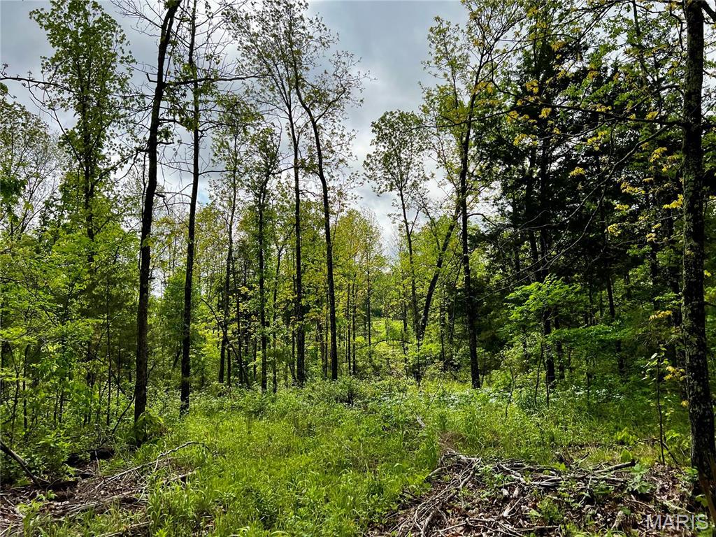 382 Furnace Creek Road