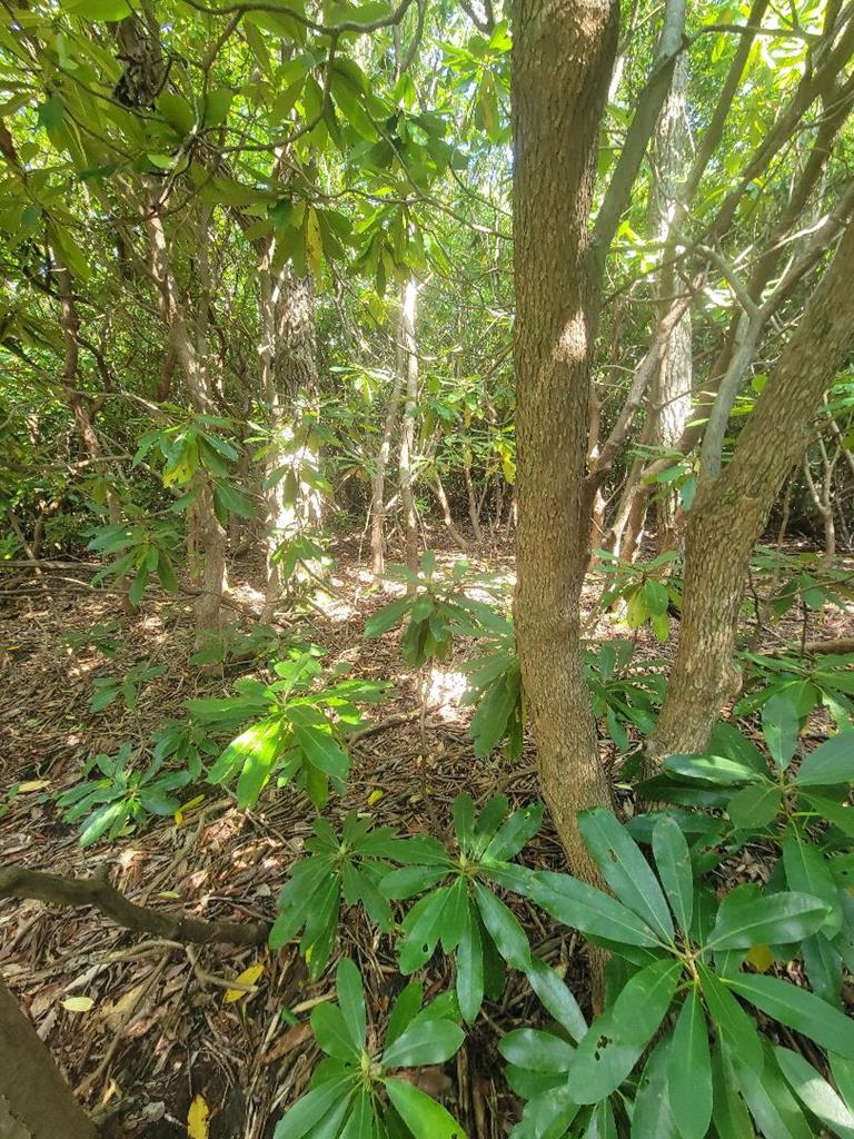 This is a 3.71 acre tract in beautiful Edgeview Mtn. Estates.  Tract is all wooded in a secluded area of the development.  Lots of rhododendrun.  Land is sloping with some level areas for building.  Development has lots of nice cabins and is restricted for your protection.  This is a nice parcel of mountain land near Meadows of Dan!  Just minutes from the Blue Ridge Parkway, area wineries, the town of Floyd and many more attractions!