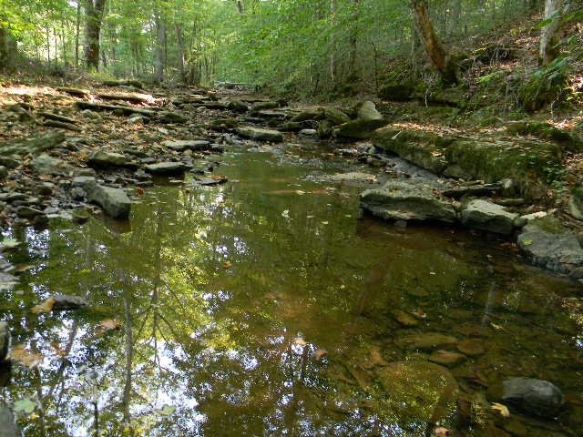 0 Traylor Branch Road